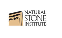 NSI logo