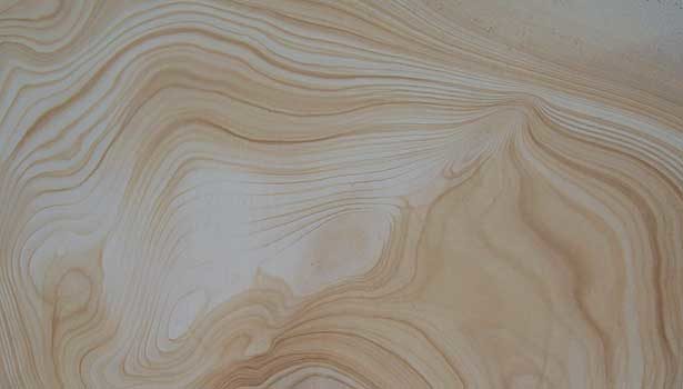 Sw0612 slideshow coveringssidebar01.jpg?alt=sw0612 slideshow coveringssidebar01