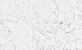 Antonio from Quantra`s Renaissance collection