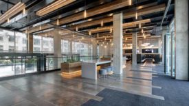 TILE 1022 Web Rheingold 01